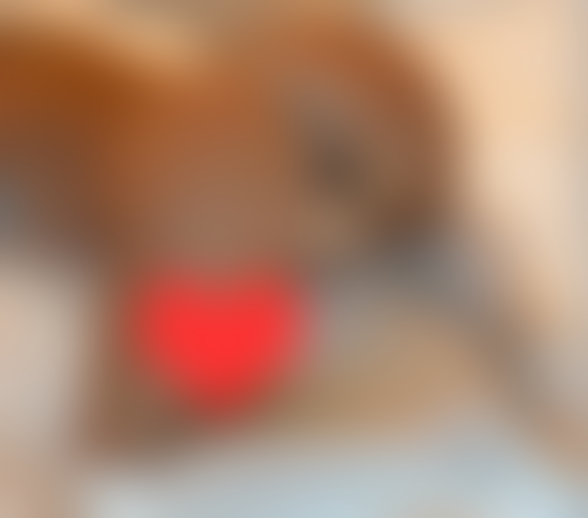 Escorts Merseyside Sefton - Photos for ♥️💋New girl best service♥️💋